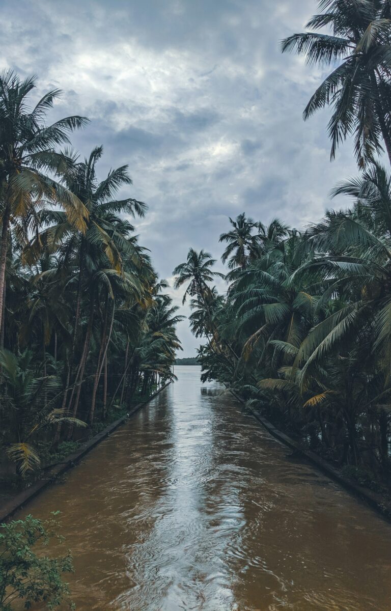 How Kozhikode Balances Tradition and Modernity