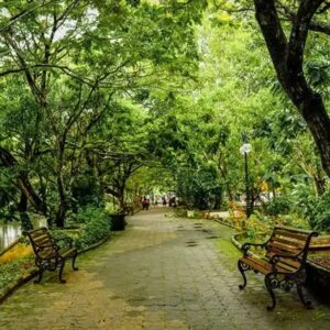 A Natural Retreat in Kozhikode: Exploring Sarovaram Bio Park