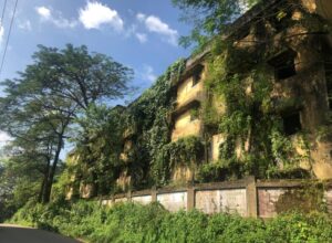 Mavoor Gwalior Rayons: An Industrial Dream, an Environmental Nightmare